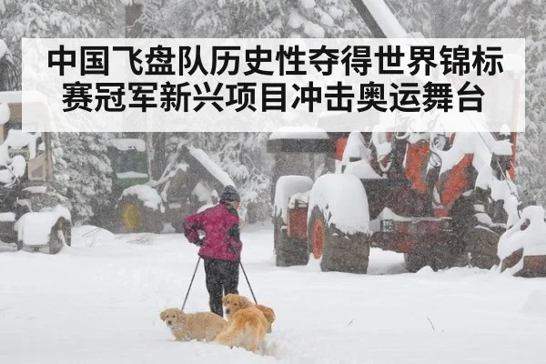 中国飞盘队历史性夺得世界锦标赛冠军新兴项目冲击奥运舞台